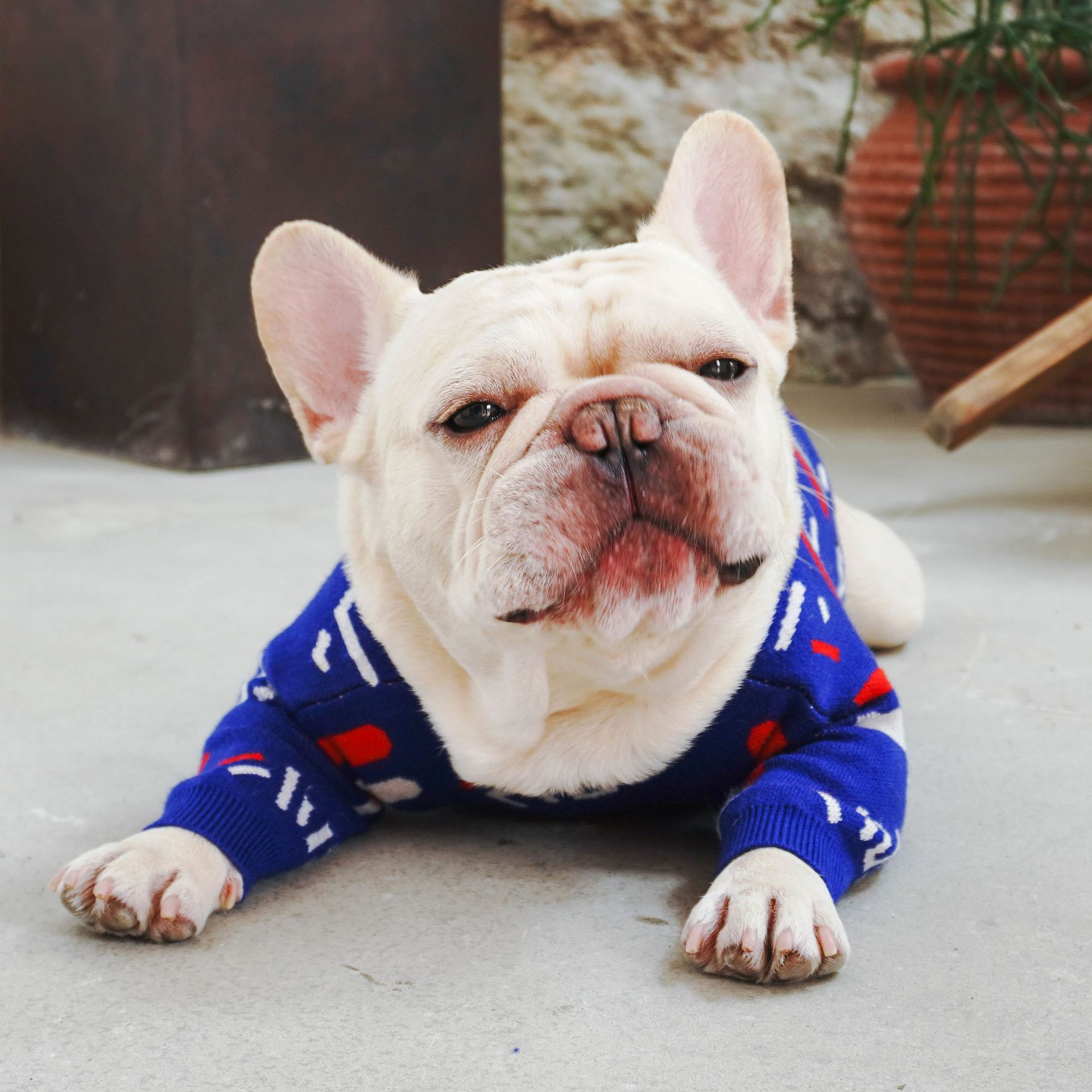 Keep Your Furry Friends Cozy with Our Pet Warm Knitted Casual Winter Sweater